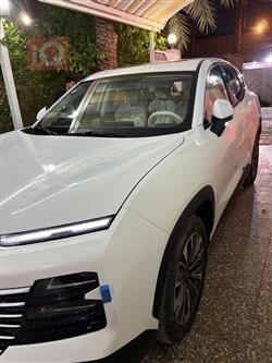 جيتور داشينج